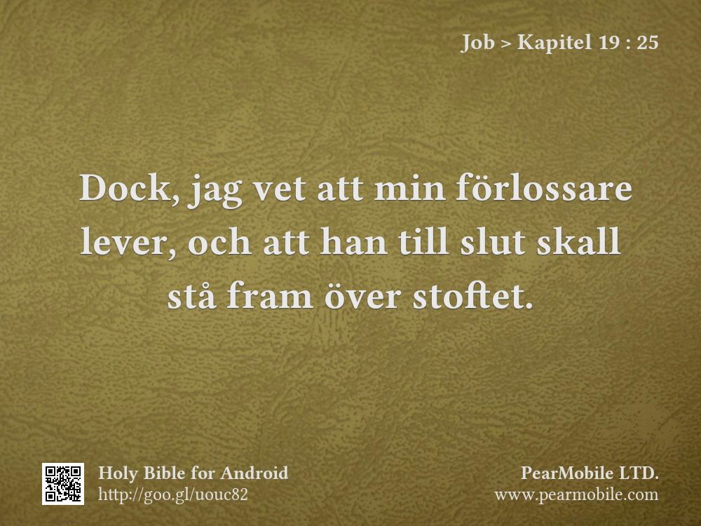 Job, Kapitel 19:25